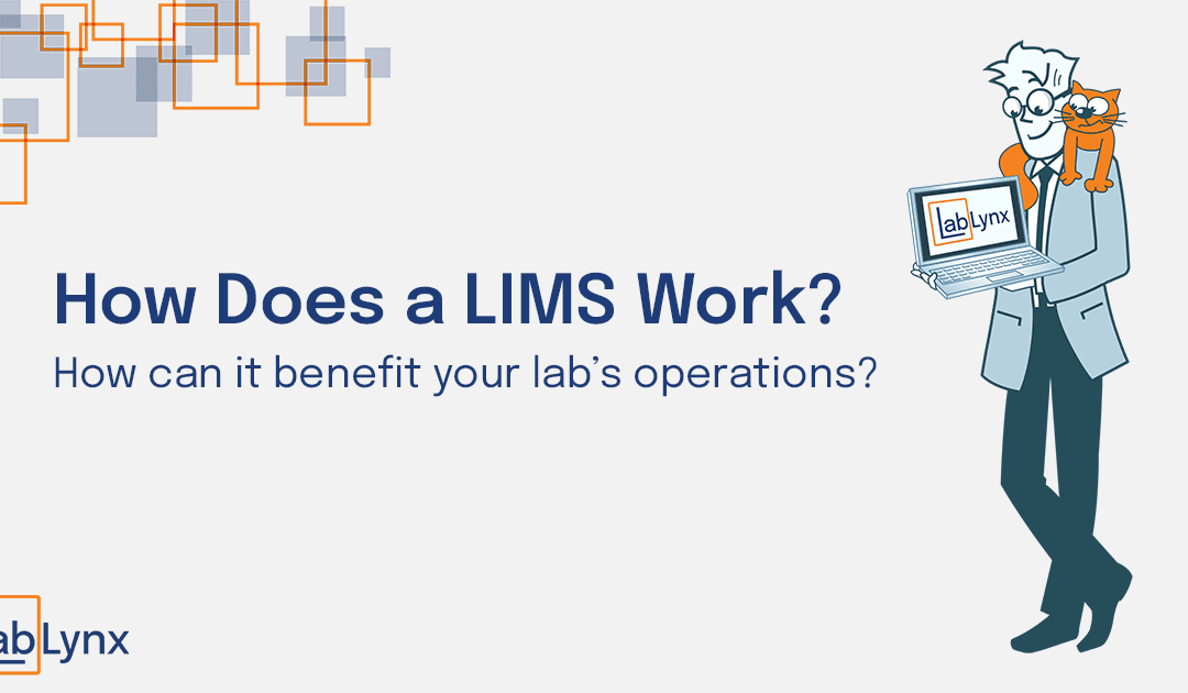 How does a LIMS work?