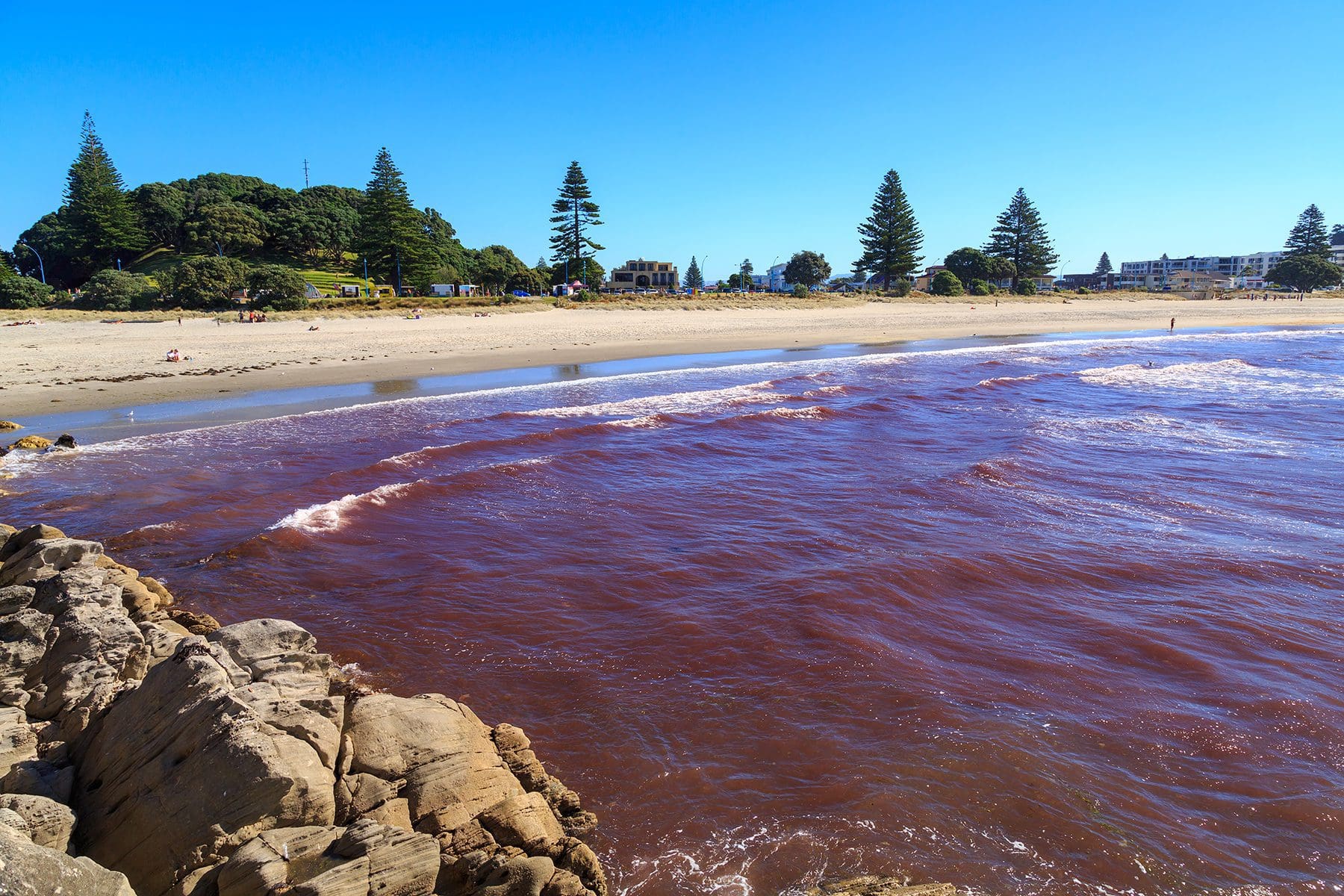 Anti-Water World: The Rise of Harmful Algae Blooms | LabLynx LIMS