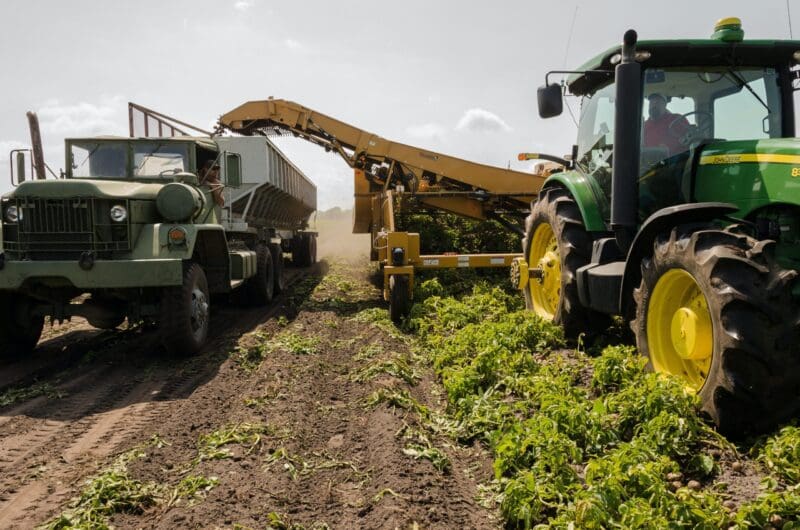 Agriculture LIMS | LabLynx