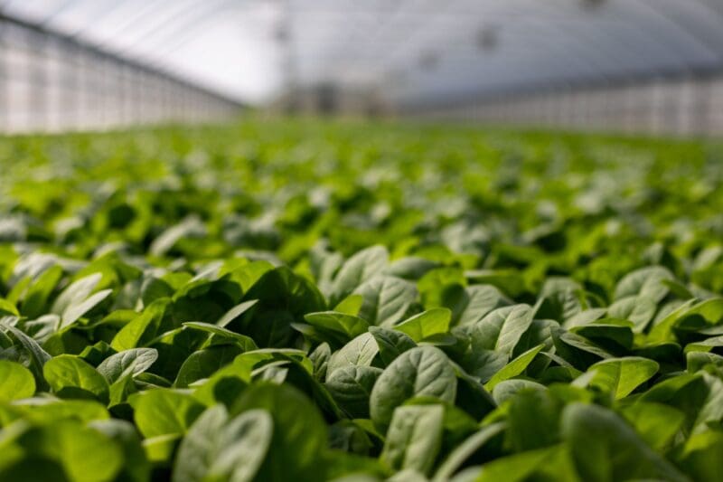ELab LIMS for Agriculture | LabLynx