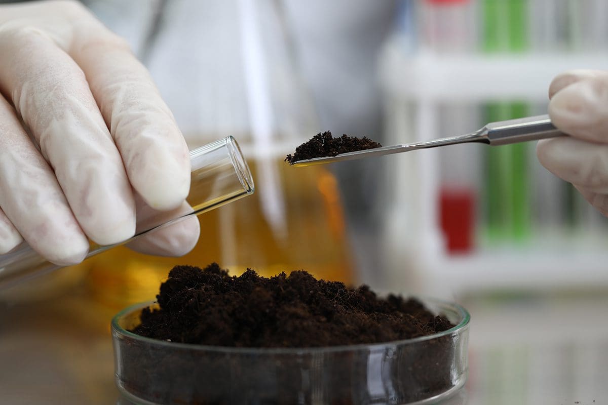 Environmental Testing LIMS | LabLynx