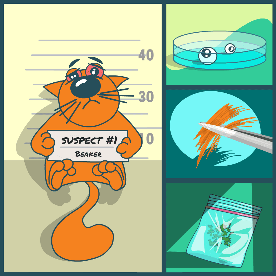 On the Hunt: The Ideal LIMS for Forensic Labs & Medical Examiners | LabLynx Resources