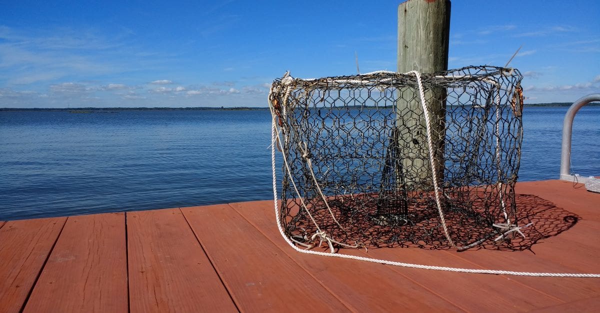 Impact of Global Warming on the Fishing Industry | LabLynx Resources