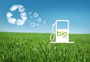 New Biofuels Research Turning the Unwanted into Energy