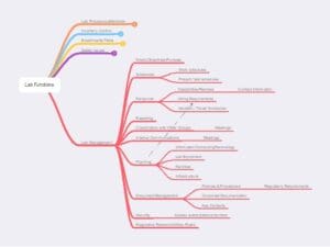 Harnessing Informatics for Effective Lab Inspections and Audits - Lab Management functions 