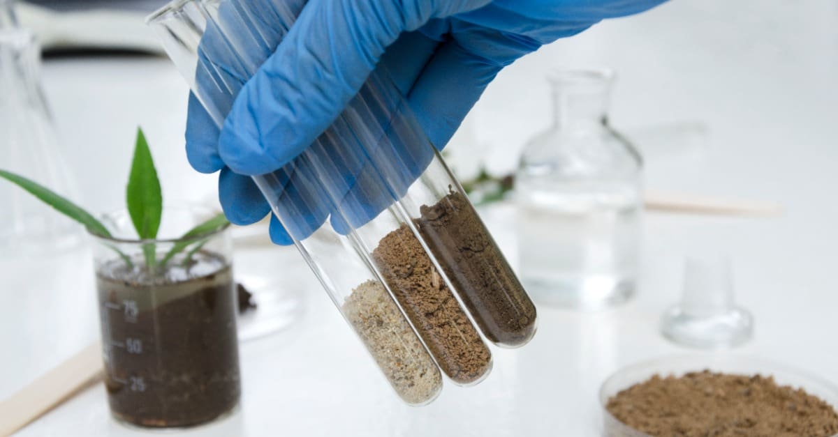Soil Testing Labs Offer Insights Beyond Crop Maintenance | LabLynx Resources