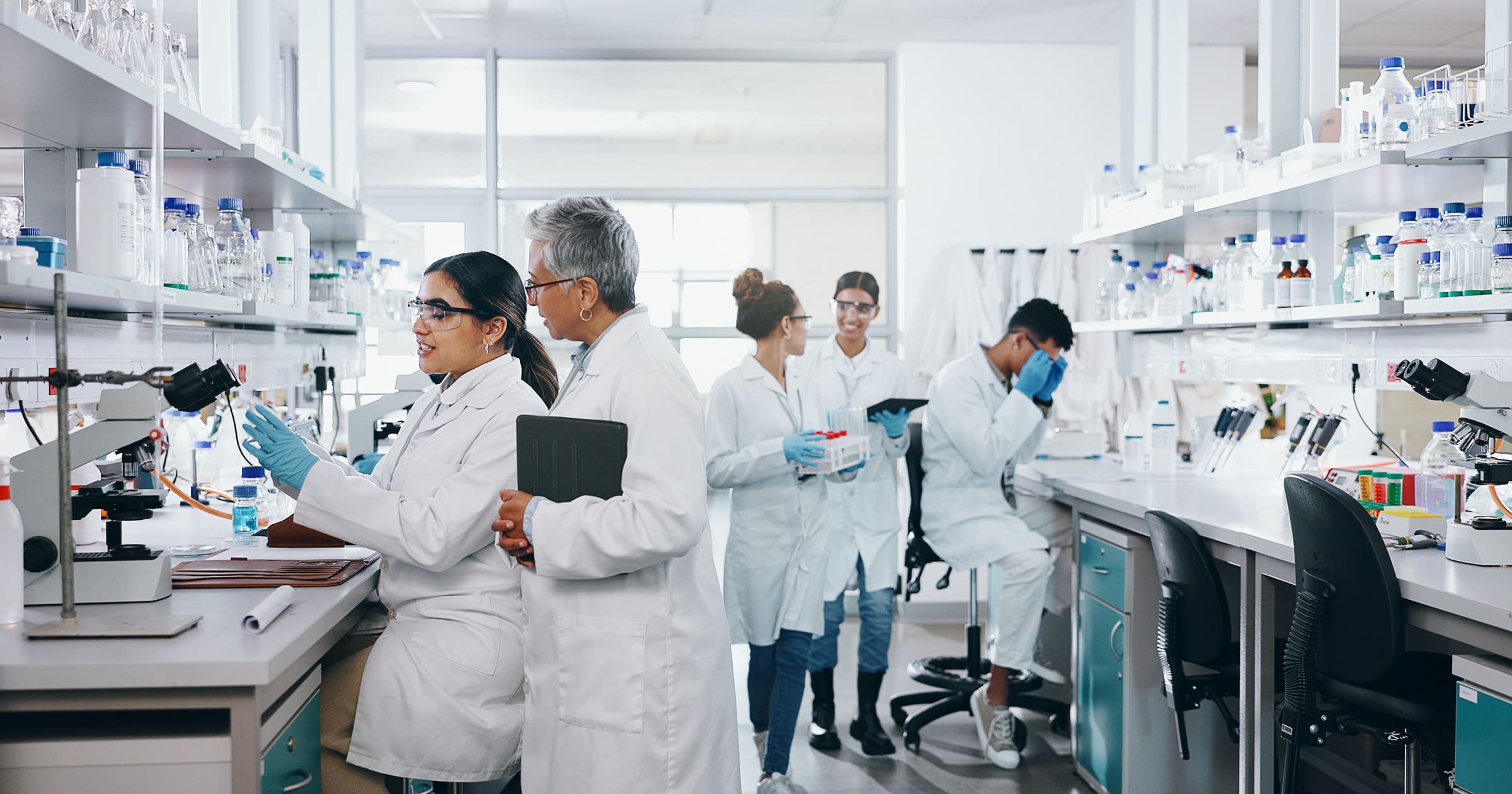 How a LIMS Is Priced, and What Per-Seat Does to a Lab | LabLynx LIMS